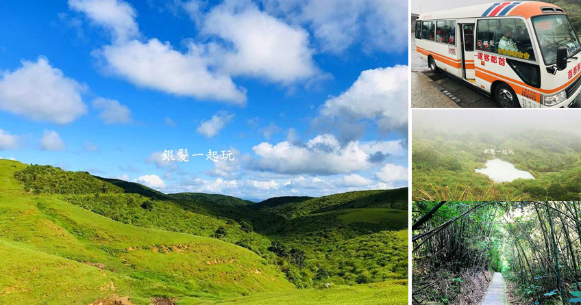陽明山,擎天崗,絹絲瀑布,冷水坑溫泉,龍鳳谷,平菁街竹林步道,二子坪,台北,懶人
