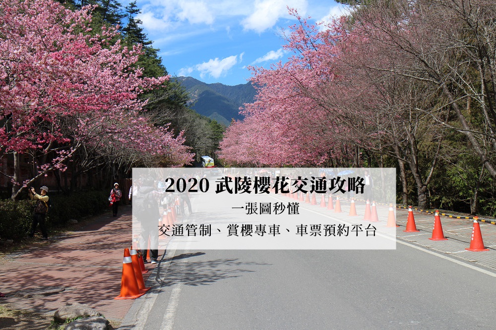 武陵櫻花季,交通管制,賞櫻專車,國光客運,豐原客運,台7甲線,武陵農場,台中,和平,櫻花季,賞櫻,武陵櫻花,交通,訂票,客運