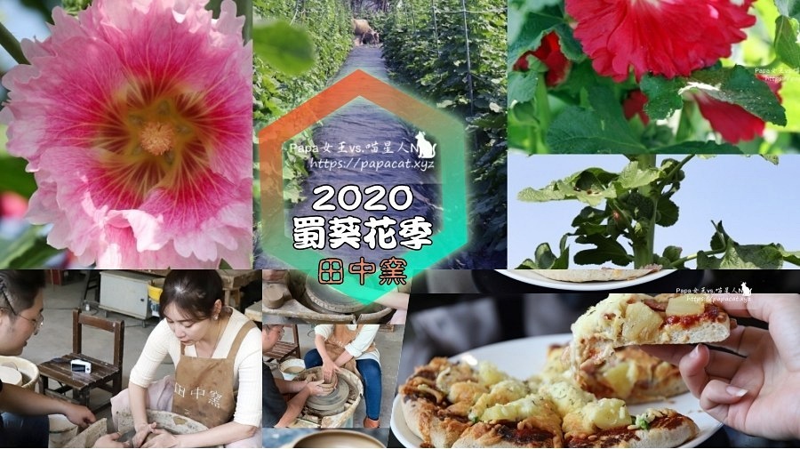 2020蜀葵花海節,田中窯,彩繪貓牆,DIY體驗,親子活動,藝術園區,毛小孩貓咪,彰化,田中,蜀葵花海節,蜀葵,一丈紅,花季,DIY,貓村,貓咪,喵星人,打卡,拍照,彩繪牆