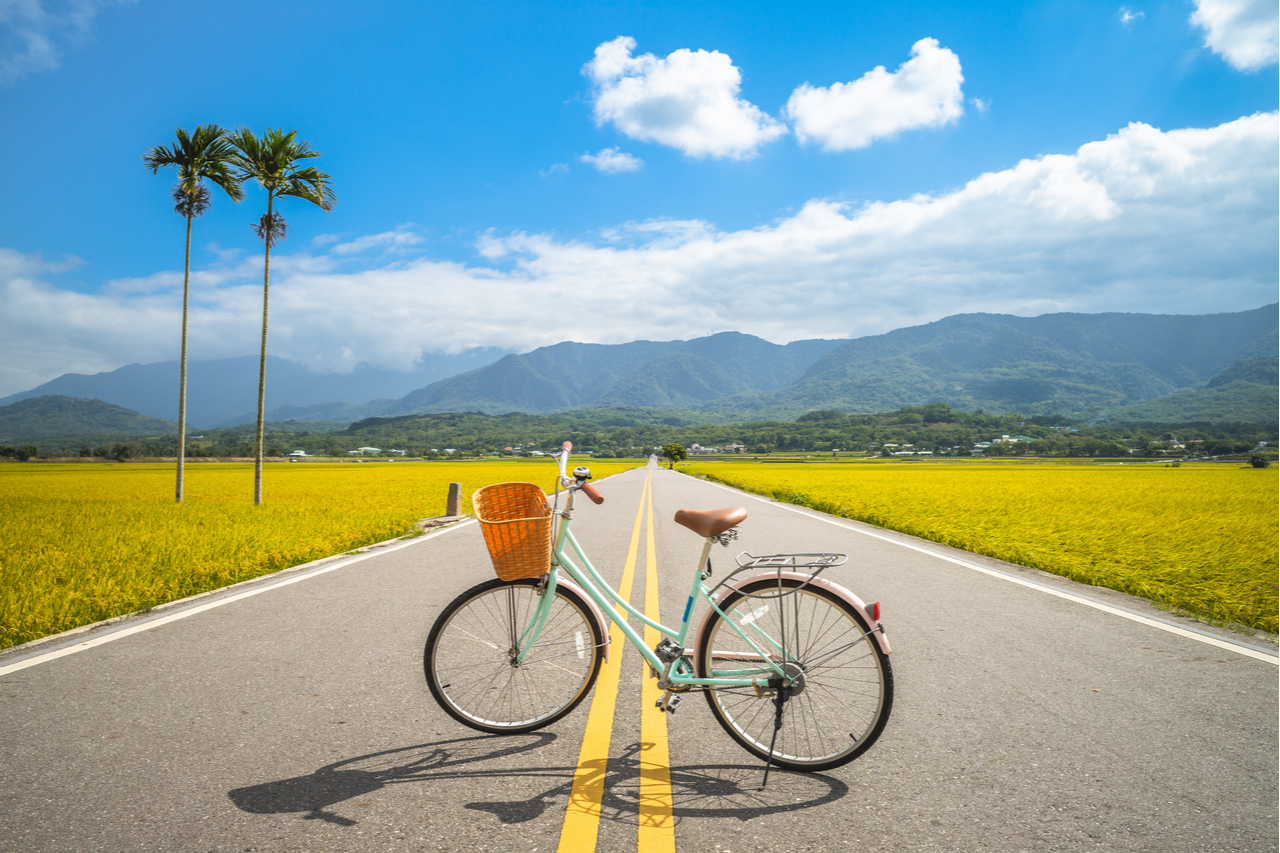 馬蘭車站,金剛大道,台東森林公園,金樽遊憩區,彩虹瀑布,飛行傘體驗,茶園體驗,台東,步道,登山,日出,港口,漁港,湖泊,峽谷