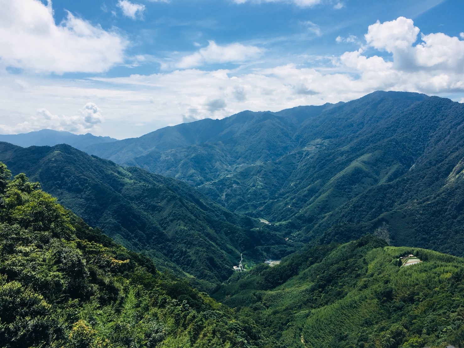 司馬庫斯,神木步道,泰雅族,大老爺巨木,Koraw生態公園,桂竹林,宇老觀景台,新竹,神木,上帝的部落