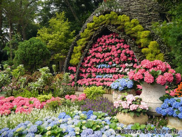 花露農場,繡球花季,精油足浴,雨林步道,香草能量花園,彩色魯冰花,精油體驗館,苗栗,卓蘭,繡球花,花季,花牆,打卡,拍照,親子