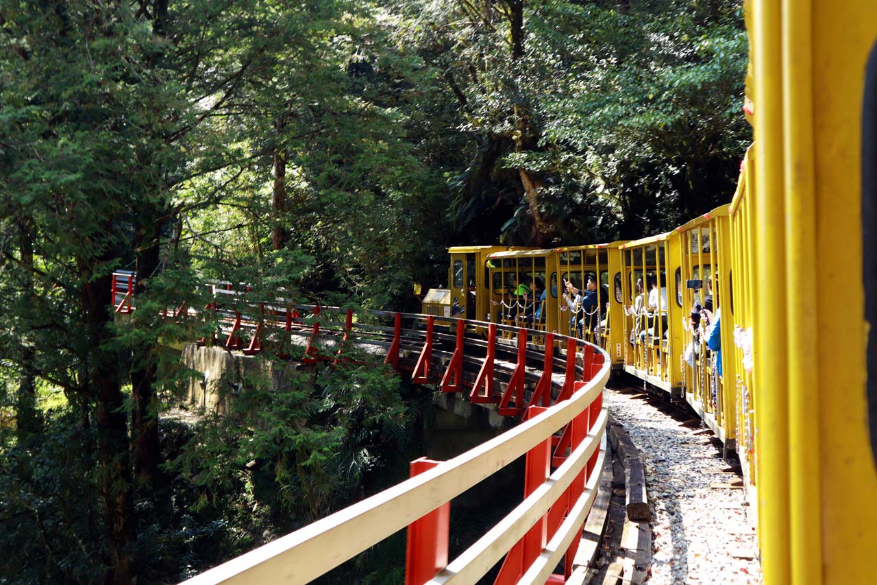 太平山,蹦蹦車,茂興站,見晴懷古步道,芬多精,宜蘭旅遊,神木,宜蘭,體驗,購票,見睛懷古步道