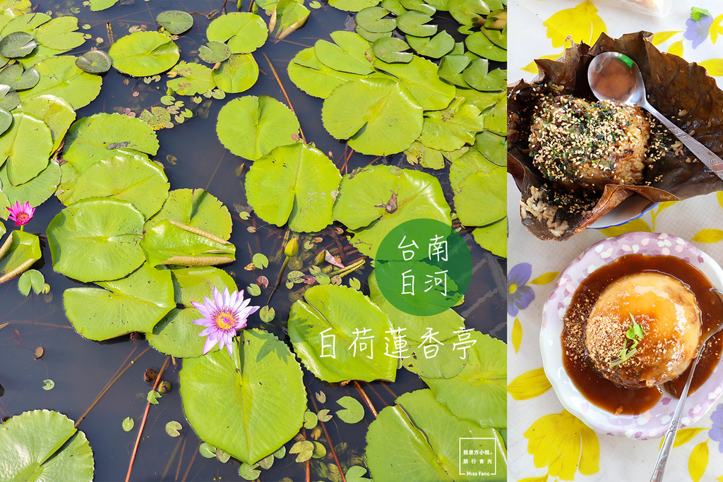 白河,荷葉香飯,蓮子米糕,蓮子碗粿,蓮花雞湯,藥膳蓮子湯,大王蓮體驗,台南,白荷蓮香亭,蓮子,大王蓮,體驗,夏季限定,平價