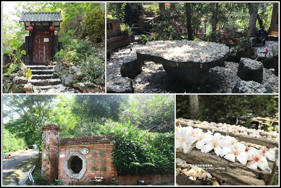 新竹關西,觀兮天籟,油桐花,錦山里,簡餐咖啡,桐花季,羅馬公路,新竹,關西,咖啡,民宿,住宿,桐花,賞桐,季節限定,觀兮天籟簡餐咖啡民宿,下午