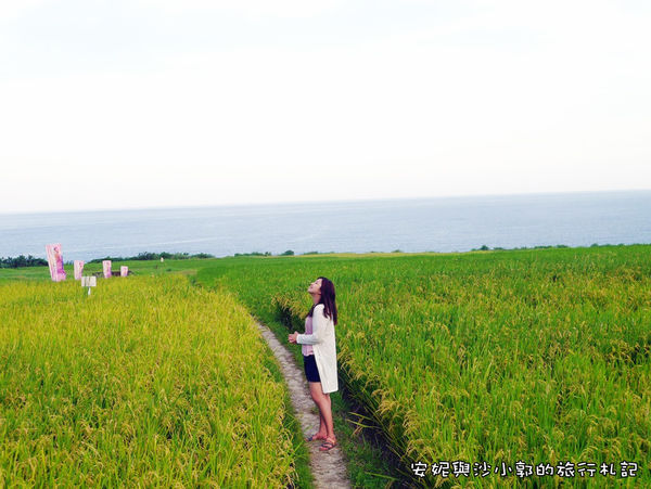新社海梯田,豐濱,台11線,海風,黃色稻浪,東海岸,梯田盪鞦韆,花蓮,新社梯田,裝置藝術,稻浪,鞦韆