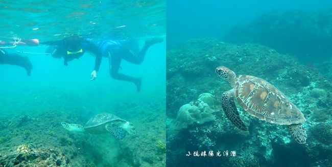 小琉球,浮潛,綠蠵龜,龍蝦洞,花瓶岩,小琉球陽光浮潛,海底世界,屏東,海龜,海洋,沙灘,琉球