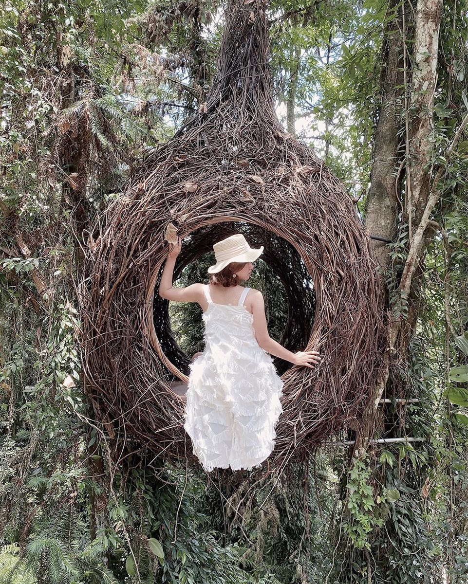 南投私房景點|想拍出爆紅系美照 南投景點TOP5走一波就對了!  雙龍瀑布七彩吊橋,日月潭拉魯島,九樹森林,澀水森林步道,Cona's 妮娜巧克力夢想城堡,Instagram打卡,南投私房景點,南投,日月潭,拉魯島,日出,溪流