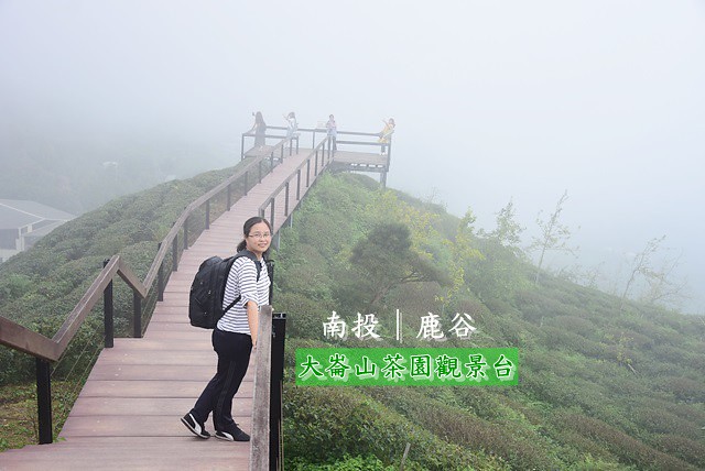 大崙山觀景台,武岫農圃,銀杏森林,茶園,觀霧亭,景觀餐廳,品茗館,南投,鹿谷,武岫農場,大崙山觀光茶園,銀杏步道,大崙山