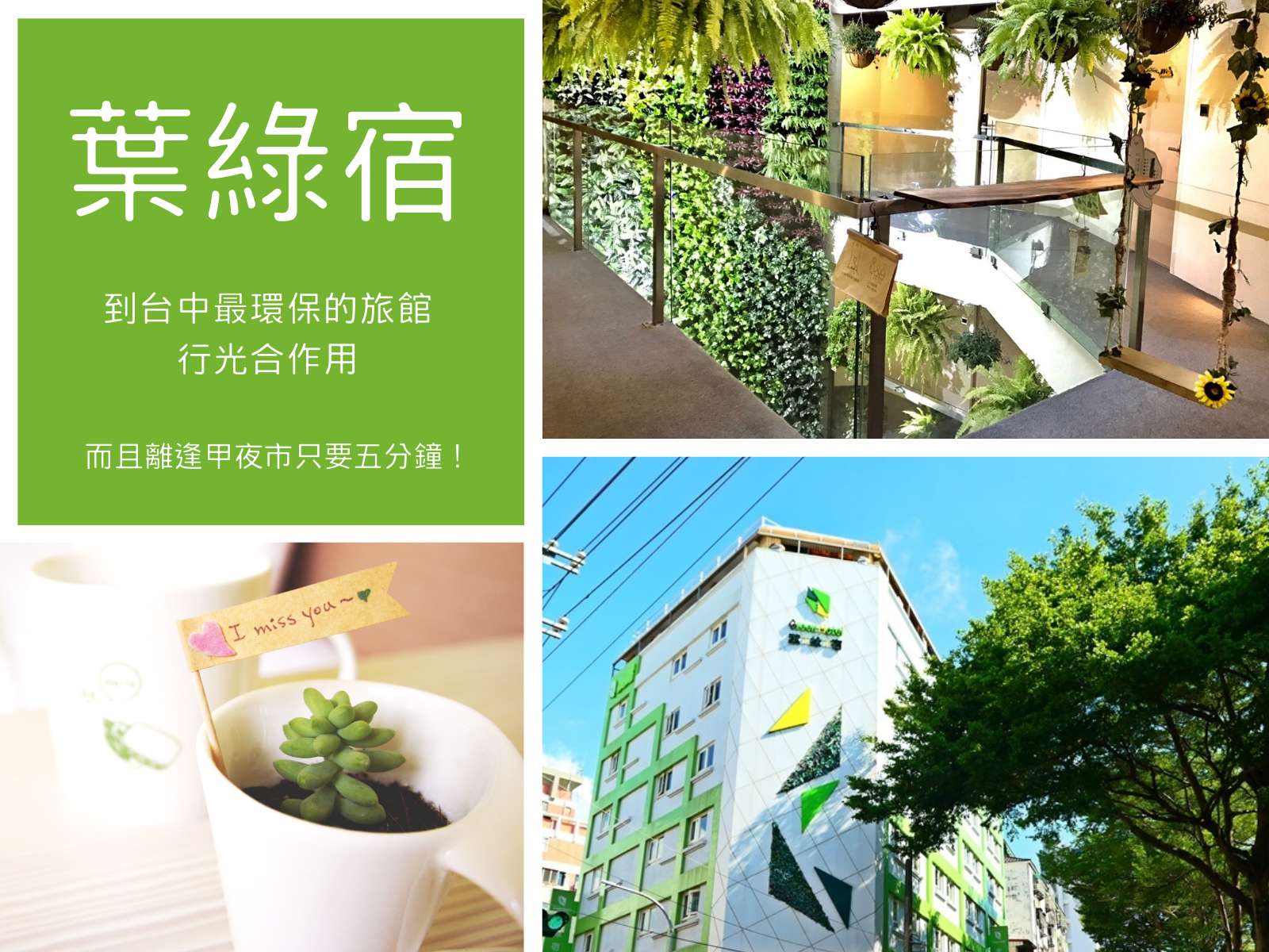 台中住宿│葉綠宿,到逢甲夜市只要五分鐘的低碳清新旅館,還有多肉陪你入眠! 葉綠宿,台中住宿,逢甲夜市,低碳旅館,環保設計,親子房,多肉植物,台中,逢甲,住宿,民宿,飯店,樹屋