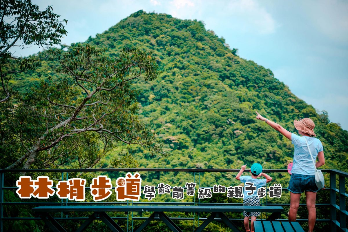 林梢步道,觀音山,親子登山步道,木棧道,凌雲嶺,觀景平台,開元院,新北,五股,觀音山生態園