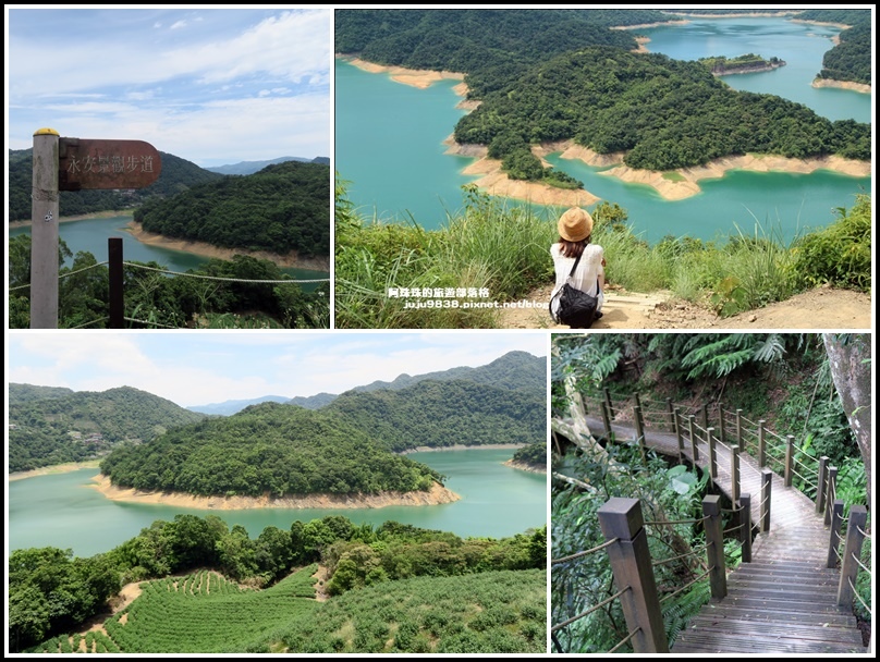 千島湖,鱷魚島,永安景觀茶園,土虱頭,石碇老街,蓮霧樹,茶園,新北,石碇,永安茶園,打卡,拍照,IG,秘境,永安步道,登山