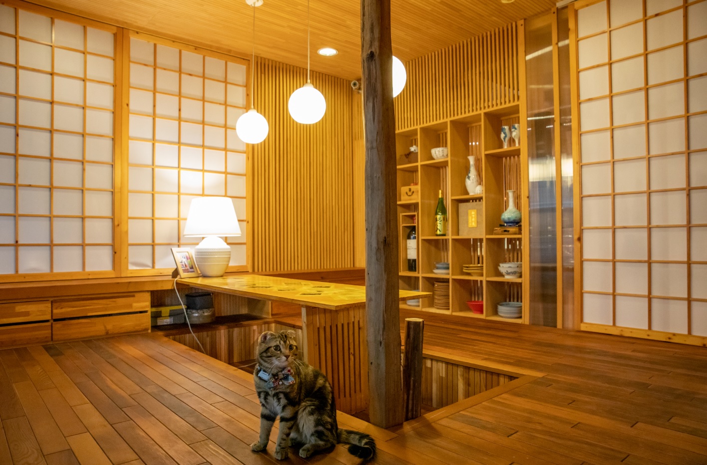 親子餐廳,寵物友善,太陽是我的靈魂,Hi-Q褐藻生活館X鱻食,中秋節,台北幸福味,創造美好記憶,台北,燒烤,寵物友