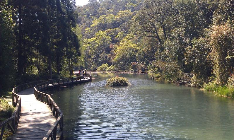 福山植物園,自然教室區,樹木展示區,生活植物區,森林探索區,哈盆自然保留區,宜蘭生態輕旅行,宜蘭,宜蘭景點,懶人