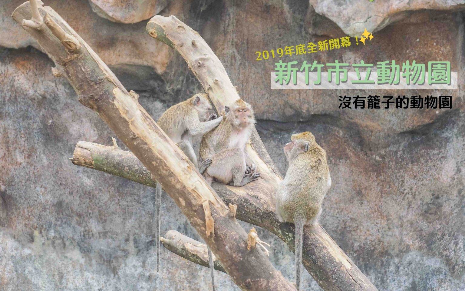 新竹市立動物園,無柵欄設計,動物明星,歷史悠久,親子設施,動物友善環境,紀念品區,新竹,新竹動物園,動物園,新竹景點