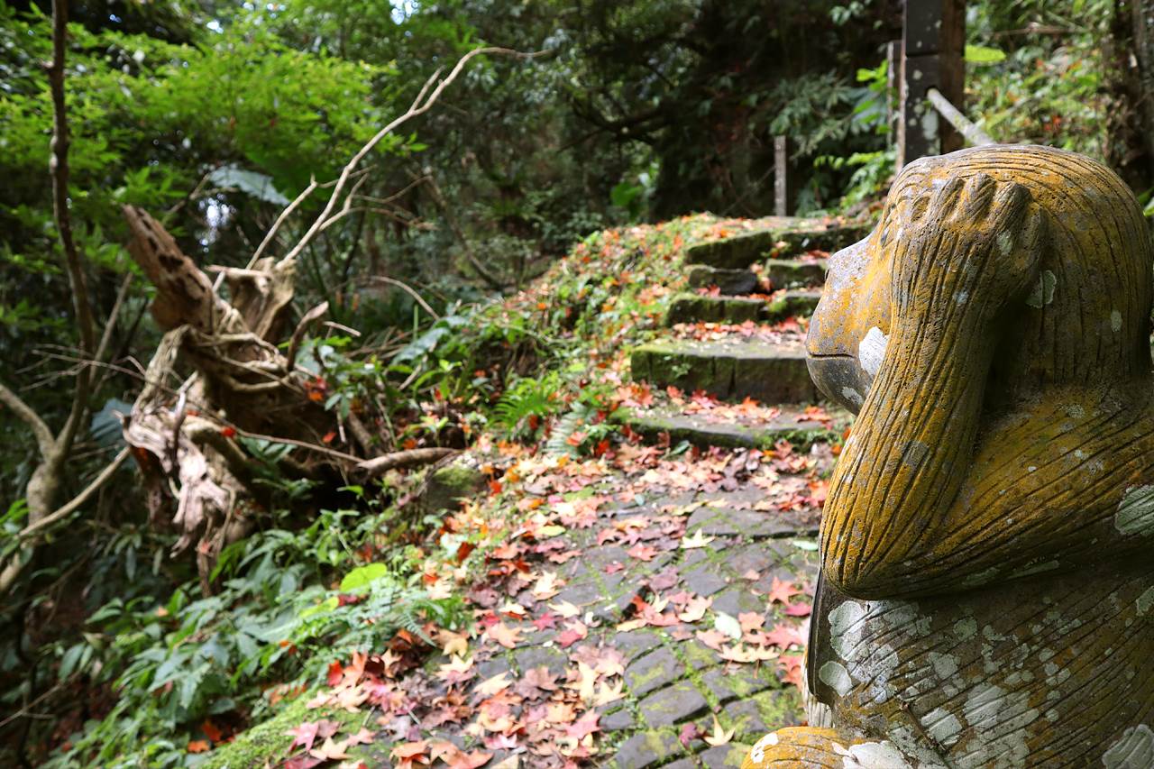 五指山,金龜岩,猴洞步道,楓紅美景,觀音寺,一線天,竹林禪寺,新竹,竹東,楓紅,登山,步道,金龜岩步道,百岳,小百