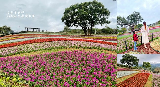 北投社三層崎公園,富良野花海,彩虹花毯,鬱金香展區,薰衣草,荷蘭風車,鋼琴主題,台北,北投,台版富良野,花海,彩虹花海,車站,捷運,博物