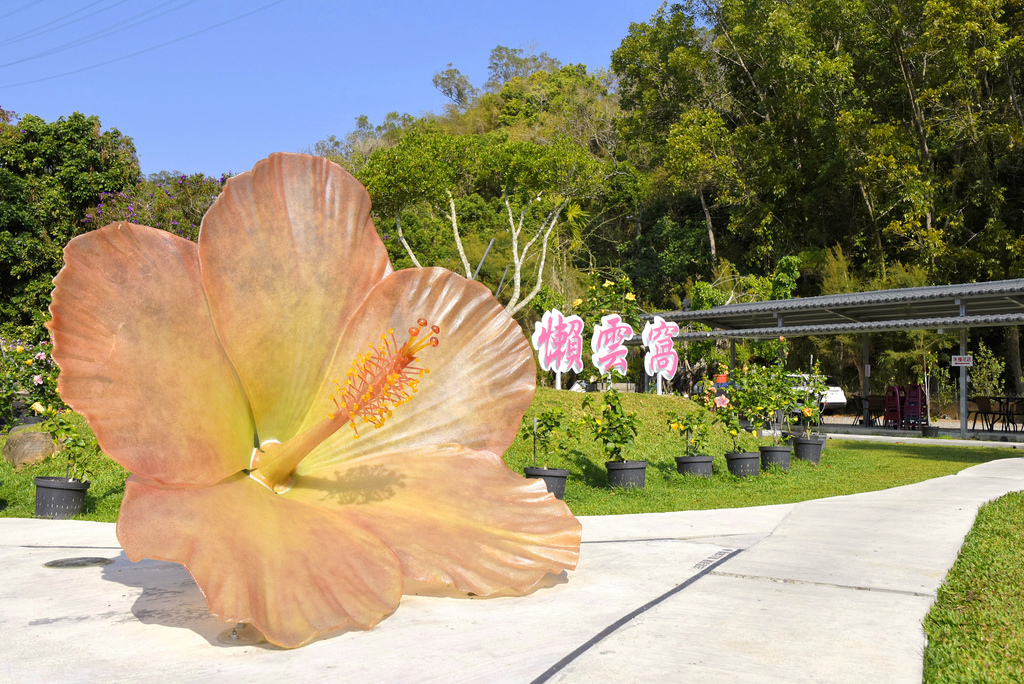 懶雲窩朱槿花,南投中寮,主題景觀餐廳,朱槿花,親子沙坑,花店與餐廳結合,藝術造景,南投,中寮,主題餐廳,景觀餐廳,打卡,拍照,扶桑花