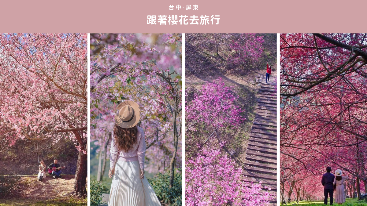 櫻花季,武陵農場,福壽山農場,九族文化村,阿里山,霧台櫻花王,泰安櫻花林,懶人包,櫻花,賞櫻,花海,台中,秘境,福壽山千櫻園,泰安派出所,南投,八卦茶園,青山坪咖啡農場,雲林