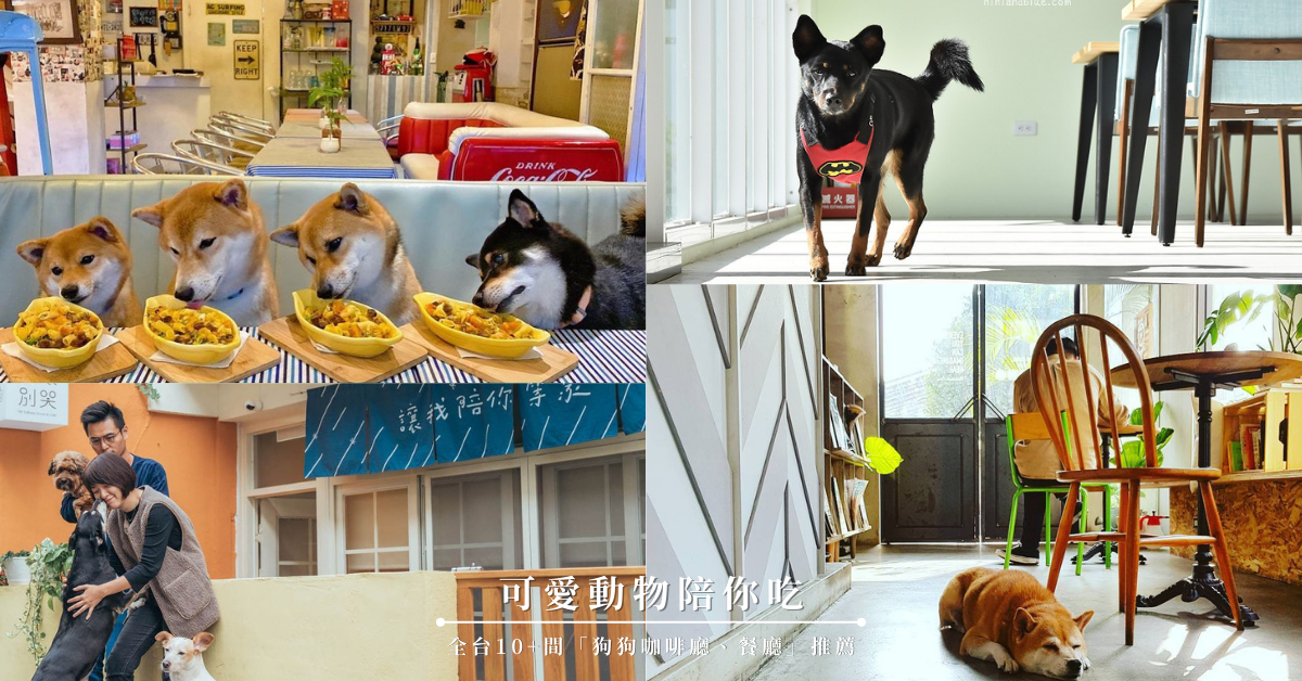 寵物友善,咖啡廳,店狗,PS BUBU金屋藏車食堂,自由式FreeForm,浪浪別哭,找柴咖啡日和,寵物咖啡廳,動物咖啡廳,毛小孩,餐廳,寵物餐廳,懶人包,可愛動物陪你吃,編輯嚴選咖啡