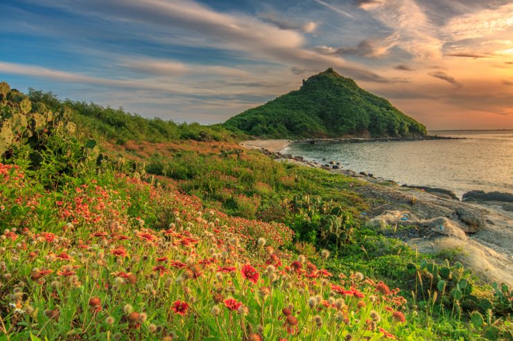 二崁聚落,陳家古厝,大菓葉玄武岩,赤馬沙灘,牛心山,漁翁島燈塔,西嶼東臺,澎湖,西嶼,外垵,秘境,古厝,西嶼美食,西嶼景點,拍照,打卡,懶人包,IG,海洋,漁港,燈塔