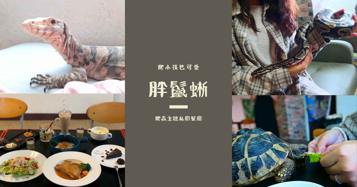 胖鬣蜥,爬蟲主題餐廳,寵物餐廳,互動體驗,球蟒,赫曼陸龜,鬃獅蜥,台北,士林,咖啡館,特色咖啡,寵物咖啡,拍照,打卡,烏龜,蜥蜴,可愛動物陪你