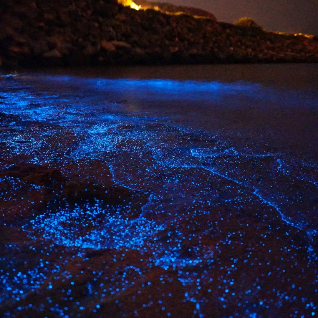 馬祖藍眼淚,北海坑道,大坵島,芹壁聚落,馬港商店街,夜光蟲,南竿,馬祖,北竿,藍眼淚,懶人