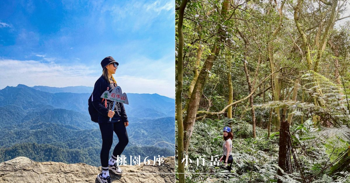 小百岳,桃園,金面山,東眼山,溪洲山,石門山,石牛山,登山,步道,大自然,郊山,金面山步道,東眼山自導式步道,溪洲山步道,石門山步道,石牛山步道,大棟山,輕鬆上手小百岳,攀岩,懶人包,郊山步