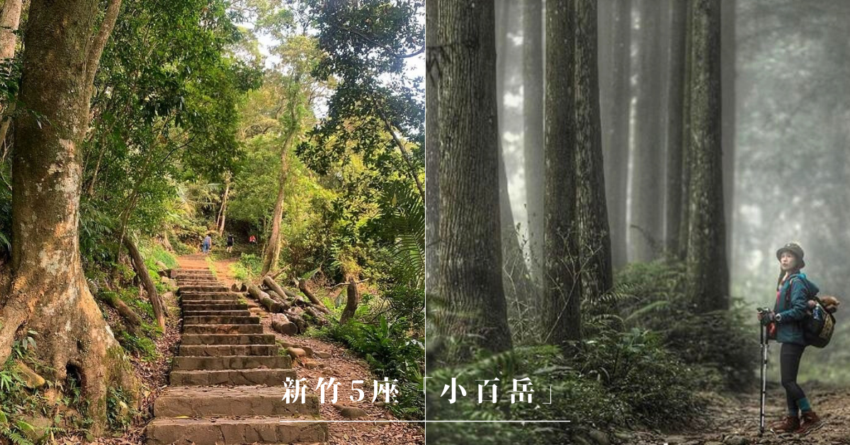 新竹小百岳,十八尖山,飛鳳山,李崠山,五指山,鵝公髻山,台北101,步道,山脈,十八尖山步道,觀日坪古道,李棟山莊,尖石TAPUNG古堡,李崠山古堡,五指山登山步道,鵝公髻山步道,石牛山,輕鬆上手小百岳,三角點,雲海,古道,郊山步