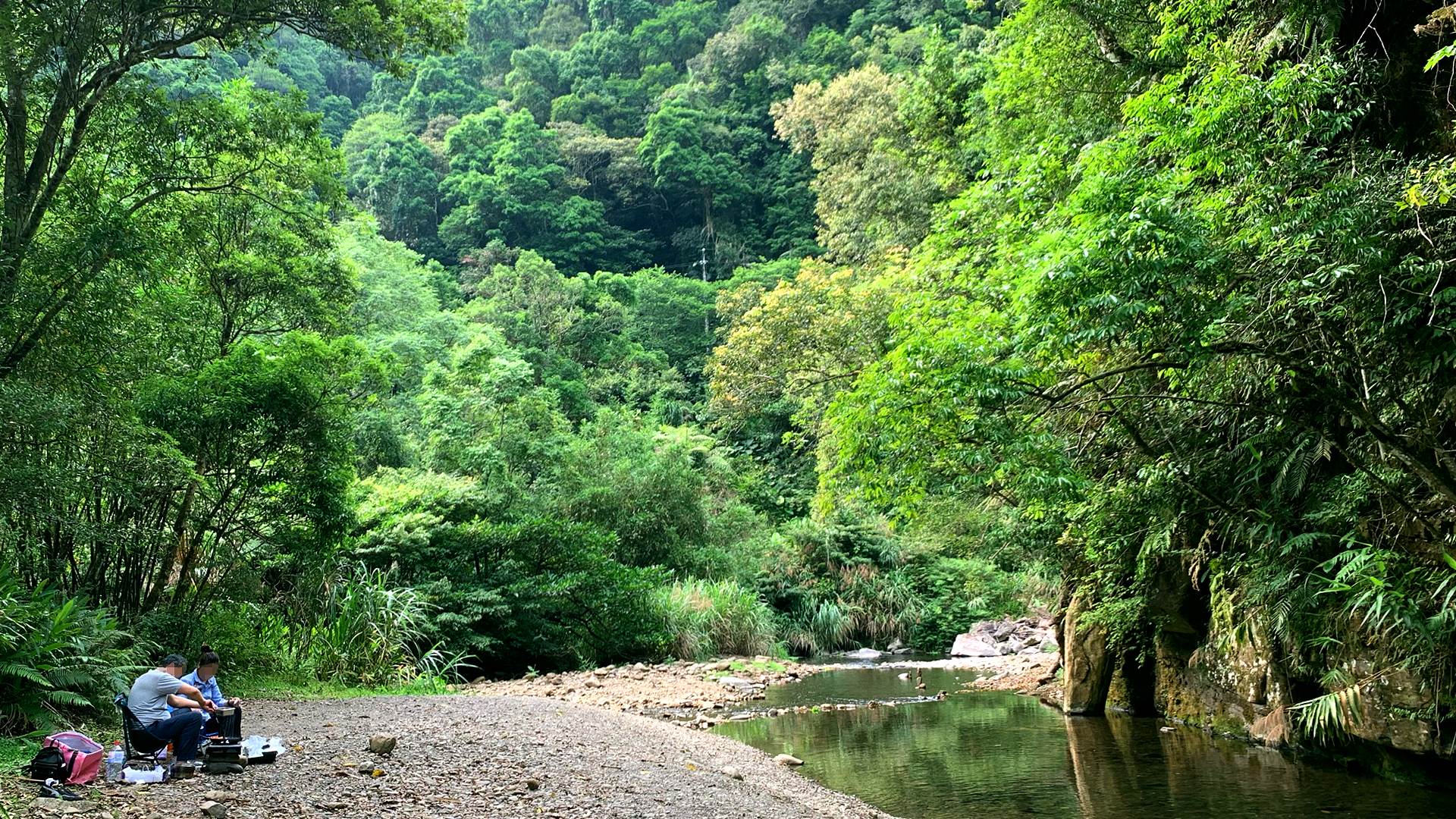 新北坪林|金瓜寮魚蕨步道|夏日親水野溪小徑 坪林,金瓜寮魚蕨步道,野溪秘境,坪林老街,金瓜寮溪,蕨類公寓,金瓜寮斷層,新北,健行,新北步