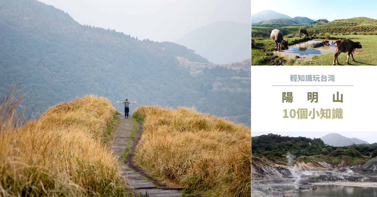 陽明山國家公園,大屯火山群,七星山,擎天崗,金包里大路,麝香貓,竹子湖,台北市,台北景點,士林區,士林景點,陽明山,大屯山,火山,魚路古道,硫磺谷,古道,擎天崗草原,太陽谷,草山,蓬萊米,溫泉,硫磺,輕知識玩台灣,輕旅