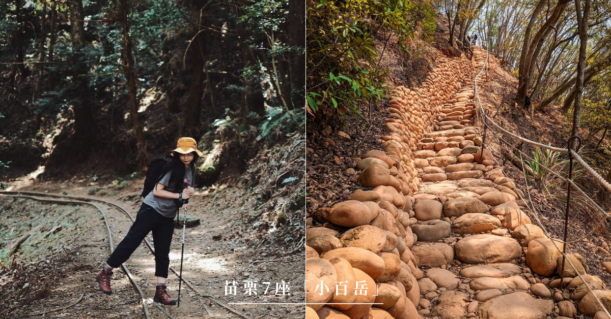 苗栗小百岳,獅山古道,火炎山,加里山,向天湖山,仙山,關刀山,苗栗,小百岳,步道,郊山步道,輕鬆上手小百岳,獅頭山,馬那邦山,懶人