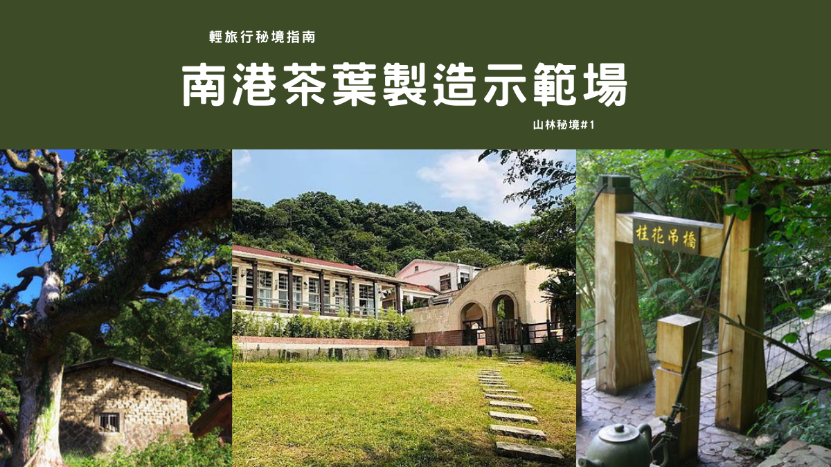 南港茶葉製造示範場,青心烏龍茶,南港茶區,桂花吊橋步道,余氏古厝,環山棧道,桂花步道,台北,南港,茶葉製造示範場,畚箕湖桂花林古道,大坑溪桂花吊橋親水步道,余氏古