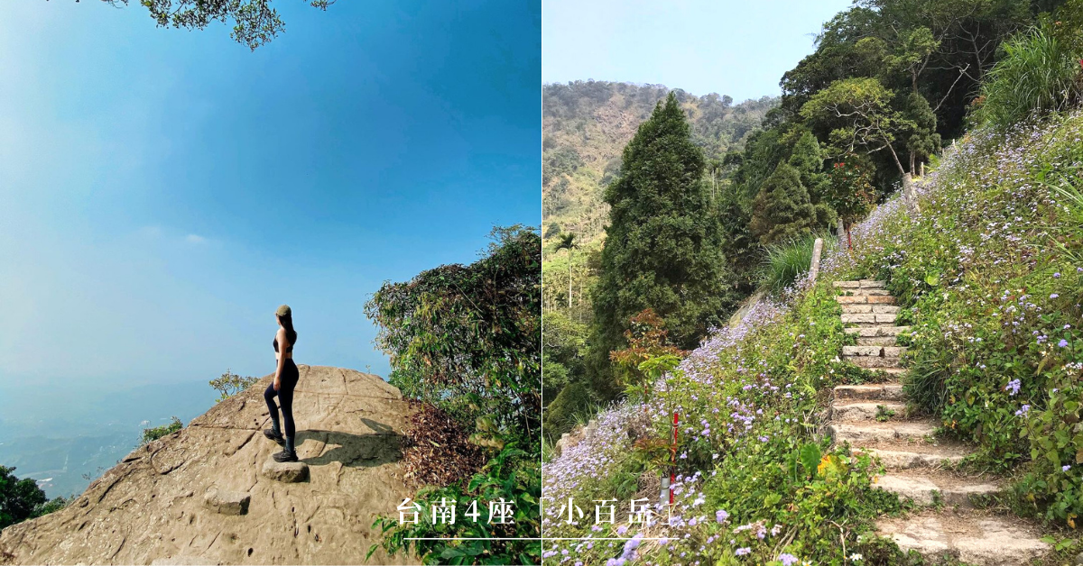 台南小百岳,大凍山,崁頭山,竹子尖山,烏山嶺,刣牛湖山,嶺梅映雪,台南,小百岳,步道,郊山步道,健行,輕鬆上手小百岳,懶人