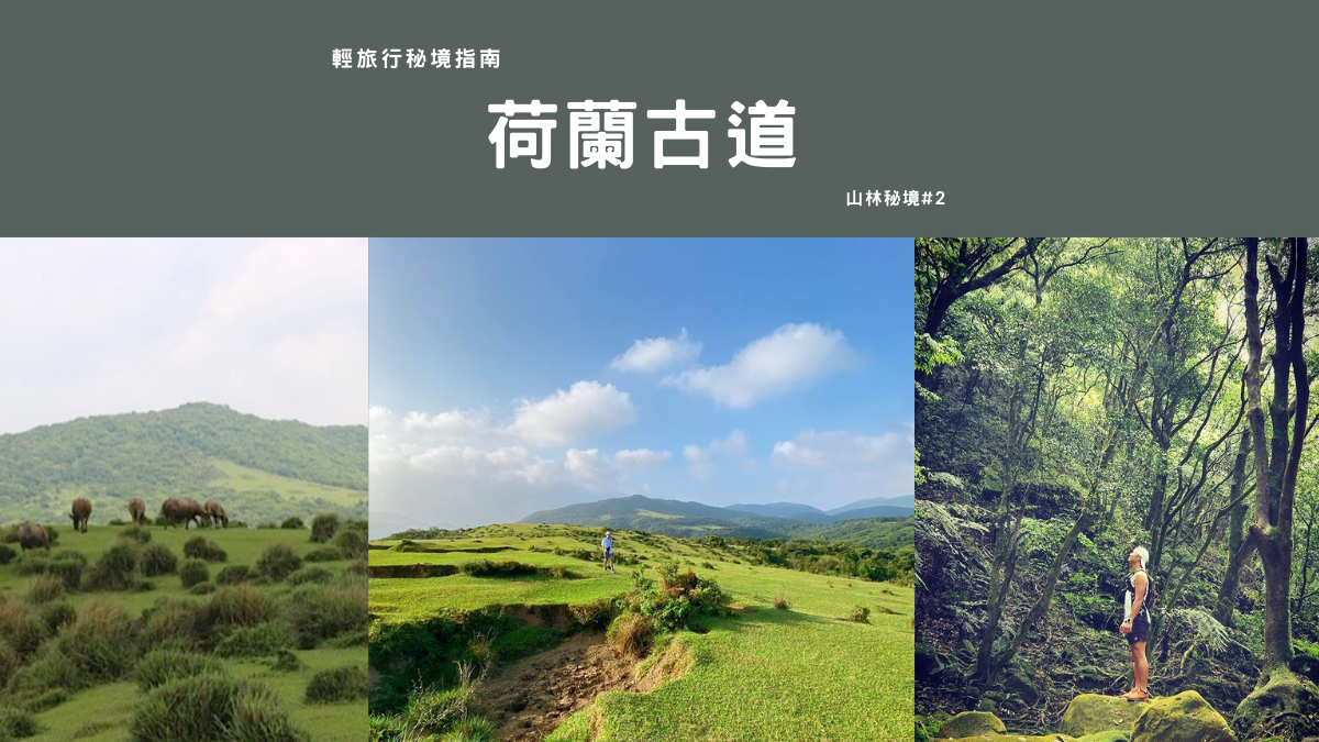 荷蘭古道,高頂山,北五指山,陽明山,擎天崗,台北盆地,野生水牛,北五指山大草原,高頂山古道,輕旅行秘境指南,台北踏青,士林景