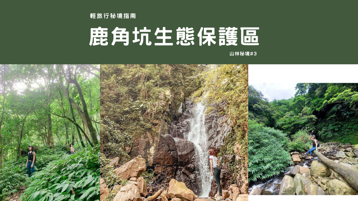 陽明山,鹿角坑生態保護區,楓林瀑布,鹿角坑溪古道,台灣獮猴,大冠鷲,紅星杜鵑,輕旅行秘境指南,台北景點,士林景點,陽明山景點,陽明山秘