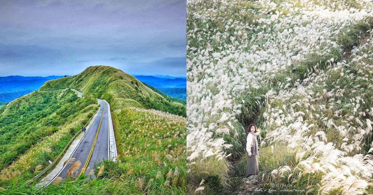 雙北|2025秋季限定!11條必走賞芒步道:一次收藏山海景,還能順遊泡溫泉! 台北芒草步道,新北芒草步道,新北芒花步道,台北芒花步道