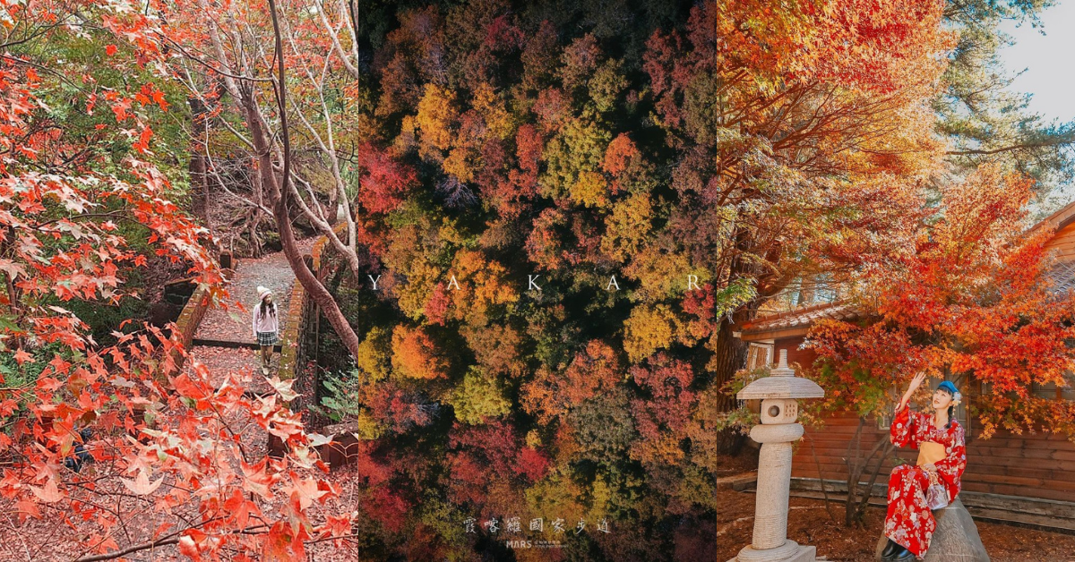 賞楓景點推薦,賞楓步道推薦,台北賞楓,台中賞楓,桃園賞楓,南投賞楓