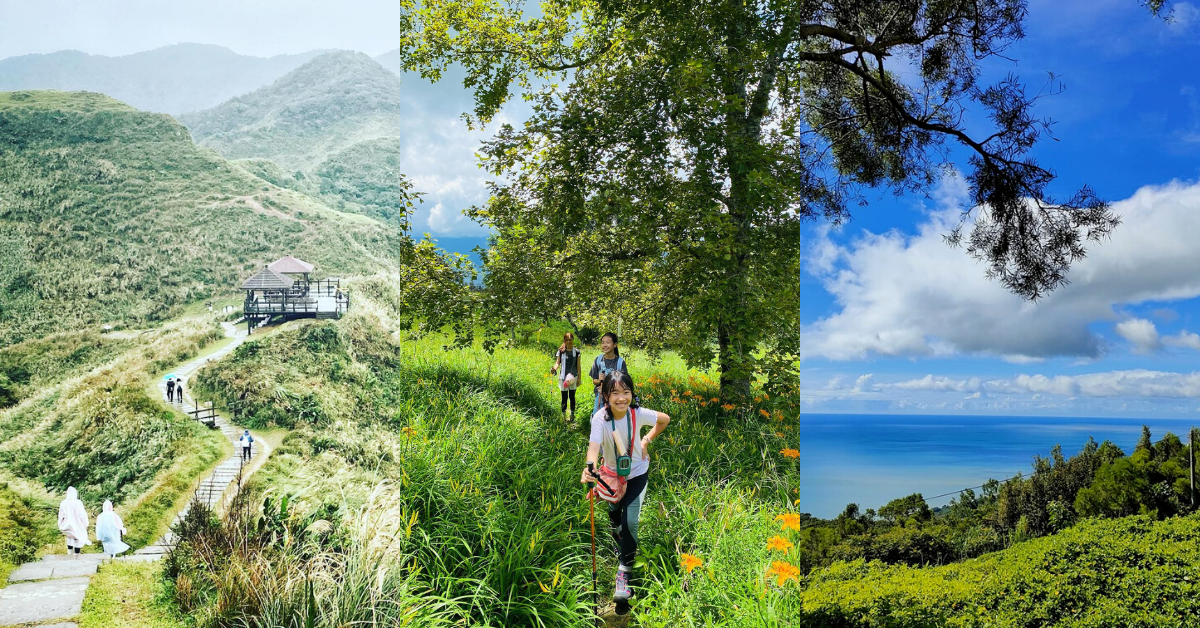 東部步道,新手友善,龜山島,金針花海,礁溪富士山,芒花,蘭陽平原,宜蘭,花蓮,台東,小百岳,步道,健行,東部低難度步道,巴塱衛山步道,太麻里金針山步道,萬人山,六十石山步道,月眉山步道,鯉魚山步道,鵲子山步道,灣坑頭山步道,新手友善步