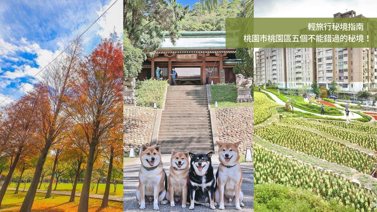 桃園秘境,桃園1-4號生態埤塘,玉山公園,落羽松大道,桃林鐵路自行車道,大有梯田生態公園,桃園忠烈祠暨神社文化園區,桃園,秘境,公園,桃園神社,自行車道,落羽松,輕旅行,市區秘
