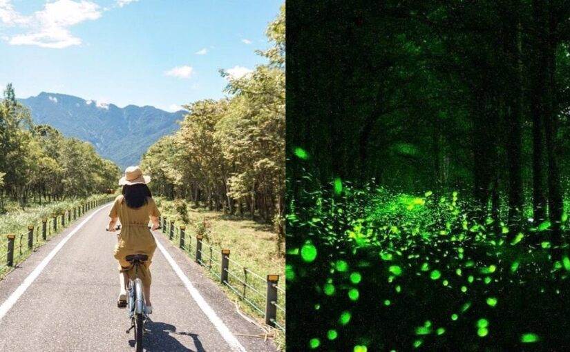 大農大富平地森林園區,賞螢活動,螢河觀星,創意地景藝術,自行車道,圖騰花海,光復糖廠,花蓮,光復,花蓮景點,光復景點,大農大富,賞螢景點,賞螢,螢火蟲季,螢火蟲,地景藝術,自行車步道,花蓮版伯朗大道,麵包樹舍,蝴蝶谷溫泉渡假村,境籟迴嵐,花蓮觀光糖廠,太巴塱部