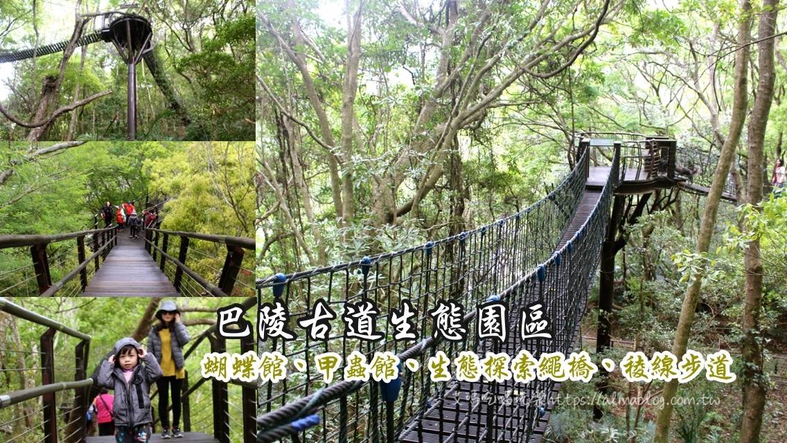 巴陵古道生態園區,森林吊橋,蝴蝶館,甲蟲館,闊葉林館,無患子,巴陵大橋,桃園,復興,秘境,古道,步道,大自然,吊橋,健行,踏青,溪流