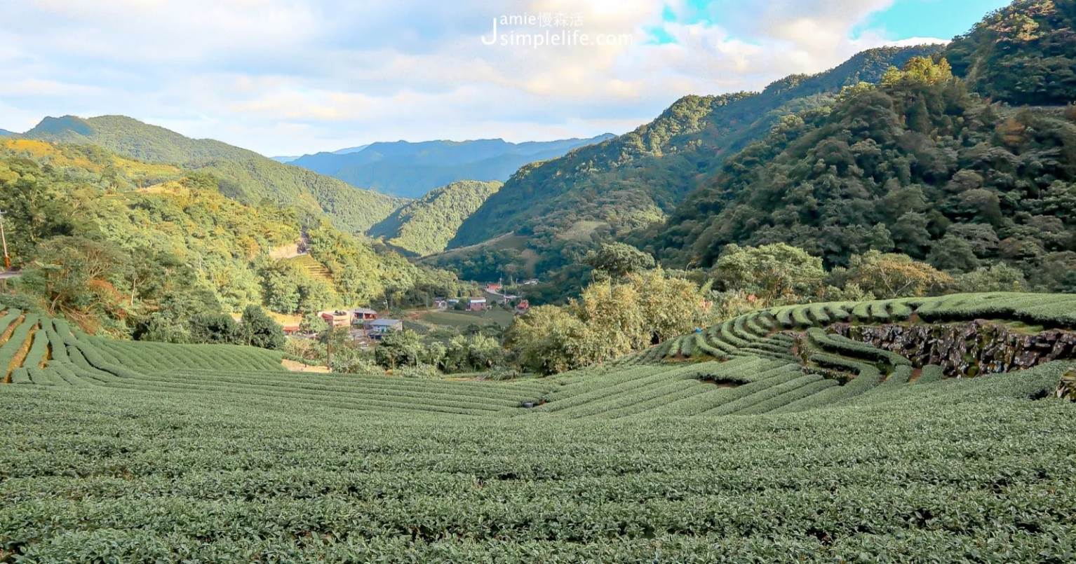坪林,南山寺,漁光健行步道,白青長茶作坊,包種茶,雲海,茶園秘境,新北,坪林茶園,秘境,茶園,坪林漁光村,步道,仙公廟,新北景點,新北秘