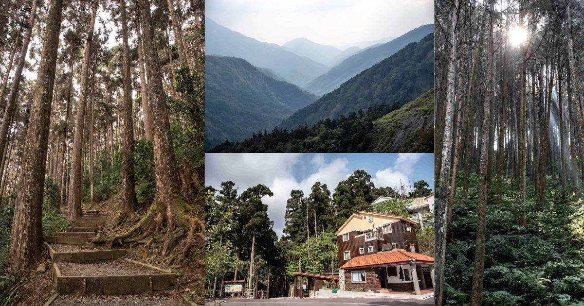 藤枝森林遊樂區,高雄秘境,雲海,溪谷,熱帶高山闊葉霧林,藤枝秋海棠,柳杉林,高雄,藤枝,秘境,秋海棠,杜鵑花,竹林,賞鳥,桃源區,步道
