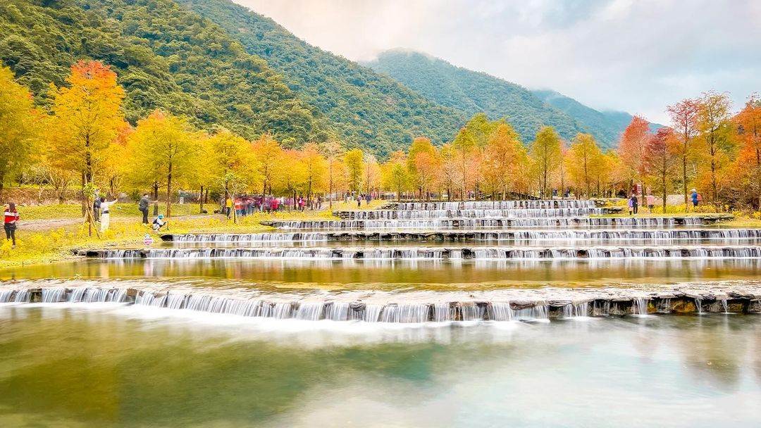 三層坪水土保持農塘教育園區,落羽松秘境,宜蘭礁溪鄉,九層疊瀑,浪漫樹林,自然景觀,綿延山巒,宜蘭,三層坪,落羽松