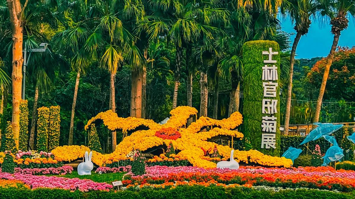 士林官邸菊展,士林官邸,大立菊,菊耀20,范逸臣,AKB48 Team TP,旺福,台北,士林,士林官邸公園,菊花,台北活