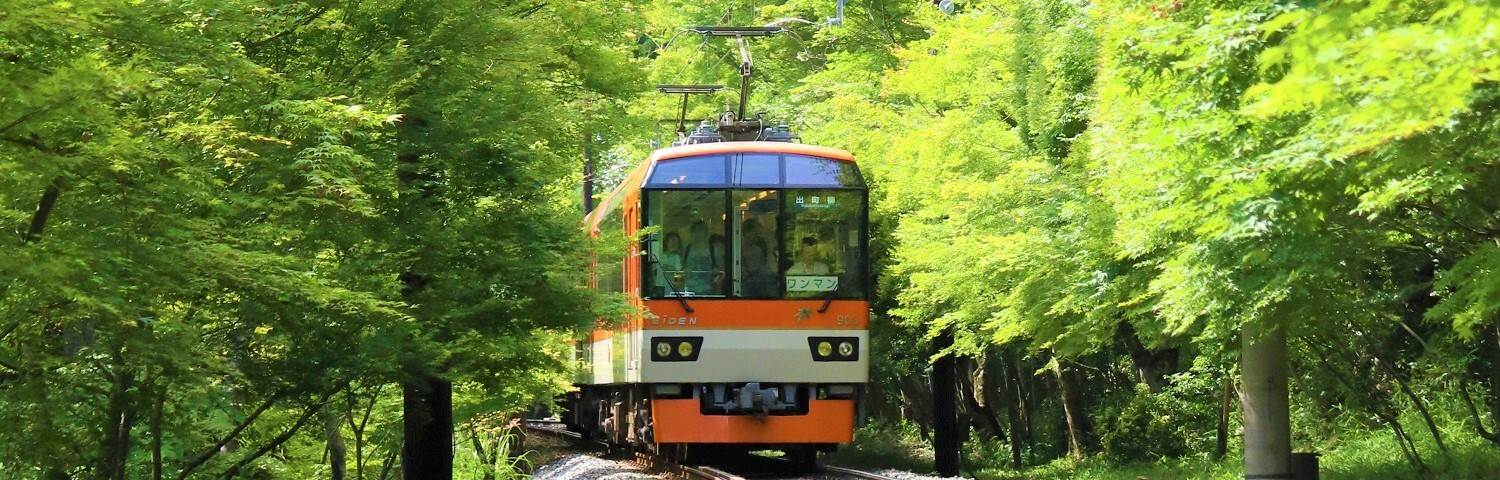 京都櫻花季,叡山電車,嵐電,京都市水族館,金閣寺,世界文化遺產,梅小路公園,日本,櫻花祭,日本景點,櫻花,京福電氣鐵道,嵐山本線,金閣