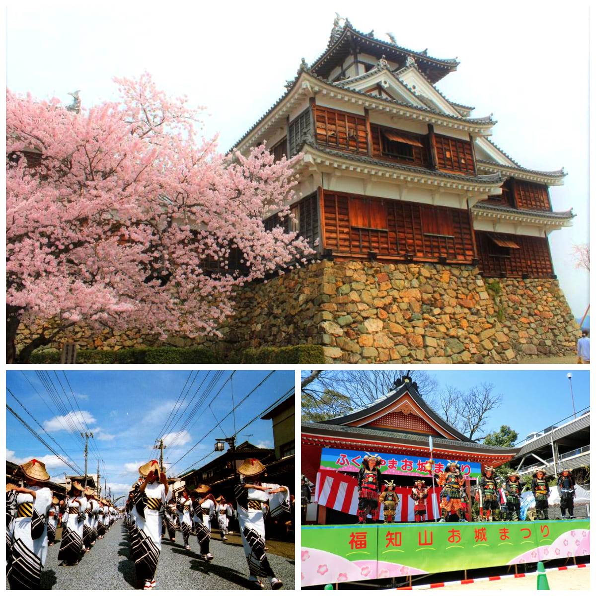 京都春季祭典,福知山城之祭,生身天満宮梅花祭,龜岡光秀祭,背割堤櫻花祭,長岡京春日觀光祭,青楓與御朱印巡禮,京都,櫻花,旅行,日本,長岡京市,向日市,大山崎町,八幡市,龜岡市,明智光秀,福知山市