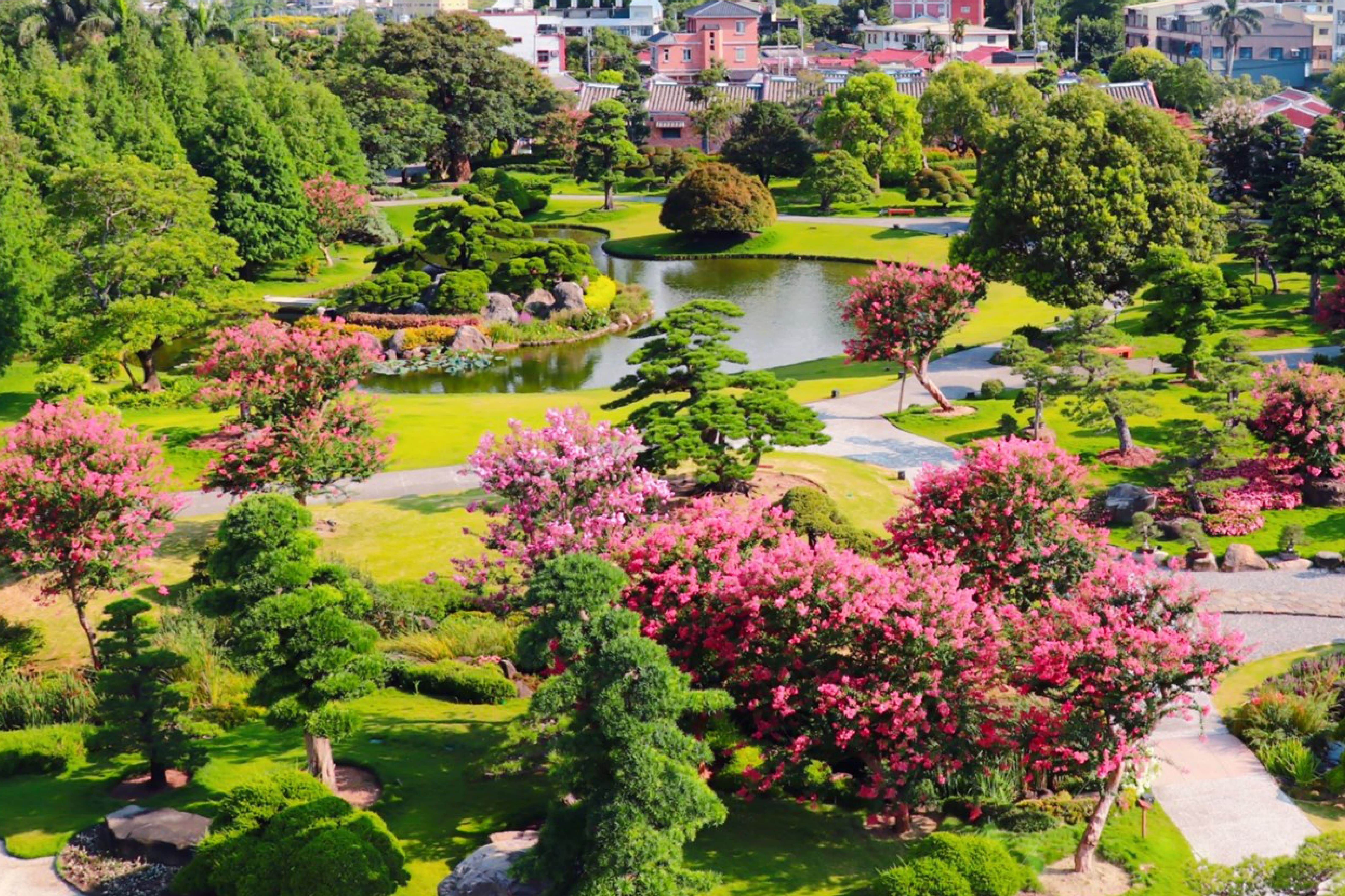 成美文化園,紫薇花季,禪風庭景,百年成美公堂,松柏軒景觀餐廳,枯山水景,日本庭師設計,彰化,紫薇花,紫薇花活動,半價入園,松柏之