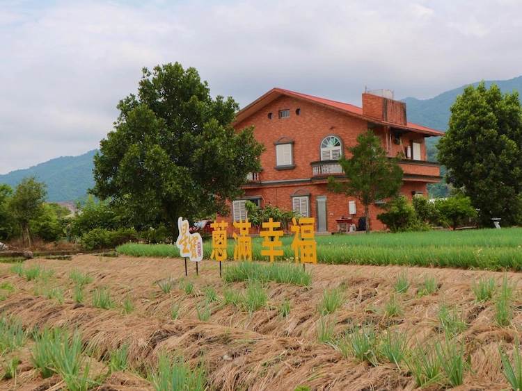 星寶蔥體驗農場,蔥派DIY,三星蔥,拔蔥體驗,驢子互動,梅花鹿餵食,宜蘭三星,宜蘭,三星鄉,宜蘭觀光工廠,觀光農場,親子景